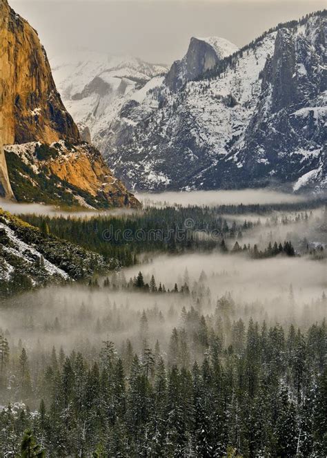 Fog In Yosemite Valley Yosemite National Park Stock Image Image Of