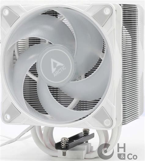 Test Arctic Freezer 36 A RGB WHITE Hardware Co