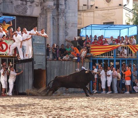 Espai Taur La Misericordia Burriana