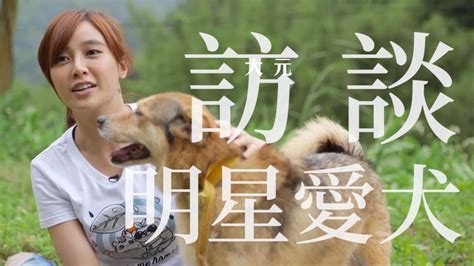 帶我回家｜明星愛犬訪談｜關懷動物博覽會 Youtube