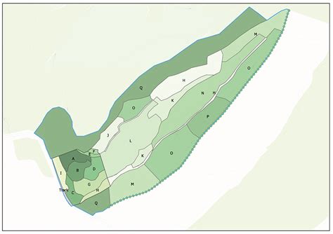 Biodiversity Net Gain Survey And Assessment Arbor Vitae