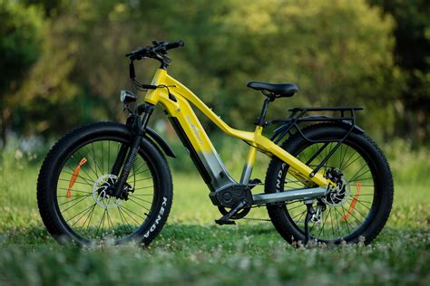 Long Range 48v 1000w Rear Drive Electric Fat Bike With 21ah Battery S73 5 Powerglide Sobowo