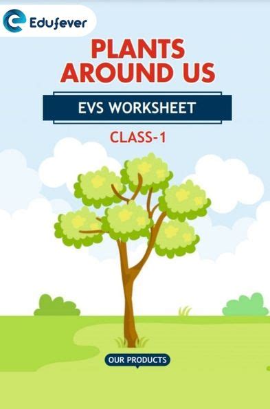 Class 1 Evs Plant Around Us Worksheet With Solution