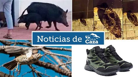 Noticias Semanales Con Club De Caza