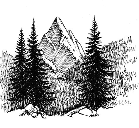 Paisaje De Monta A Dibujo A Tinta En Blanco Y Negro Foto Premium