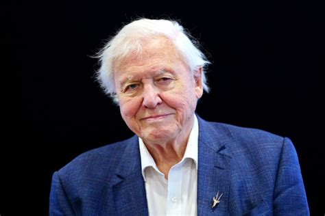 Sir David Attenborough Will Return To TV To Present Planet Earth III