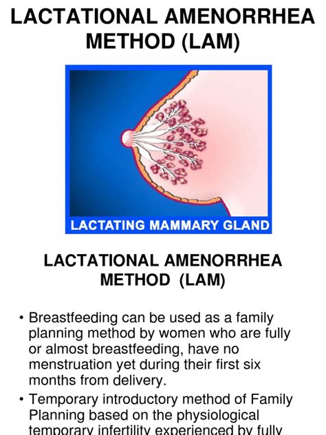 Lactational Amenorrhea Method | Breastfeeding | Midwifery