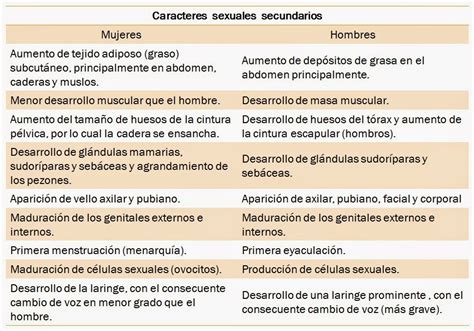 Biolog A Humana Caracteres Sexuales