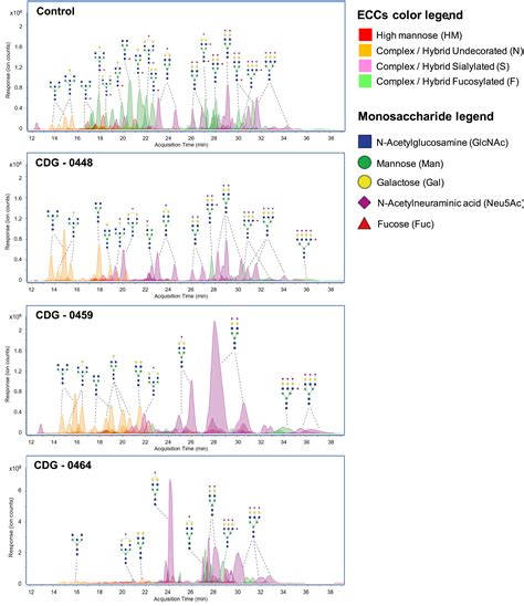 Biallelic Mutations In Fut Cause A Congenital Disorder Of