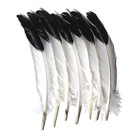 Imitation Eagle Feathers, White & Black, 11" to 12", 12 Count - CK-4512 ...