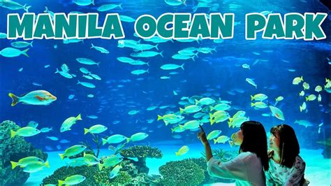 Manila Ocean Park Must See Attractions And Aquatic Adventures Youtube