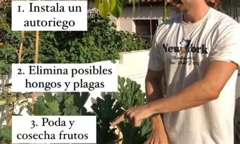 CUIDAR Las Plantas Cuando Te Vas De VACACIONES 3 Consejos