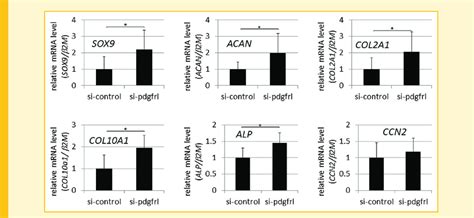 Mrna Levels Of Chondrocyte Differentiation Marker Genes In Pdgfrl Download Scientific Diagram