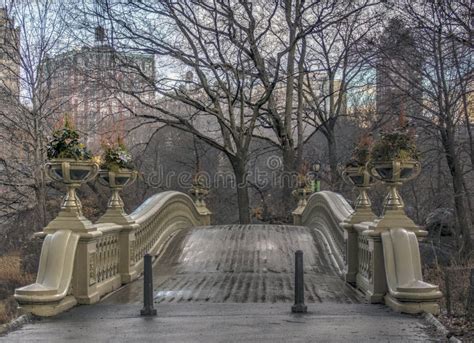 Bow bridge in winter stock image. Image of plants, arch - 169667059