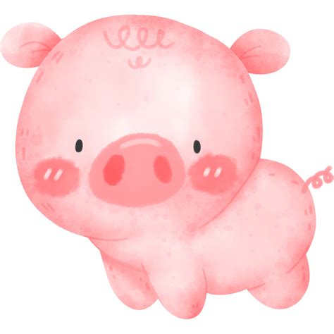 Aquarela De Porco Bonito Png