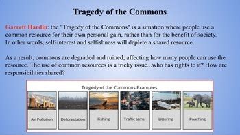 Tragedy of the Commons (Lesson and Activities) by Sutton Junkermeier