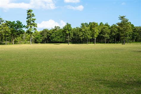 Park With Green Grass Fields With A Beautiful Park Scene Background