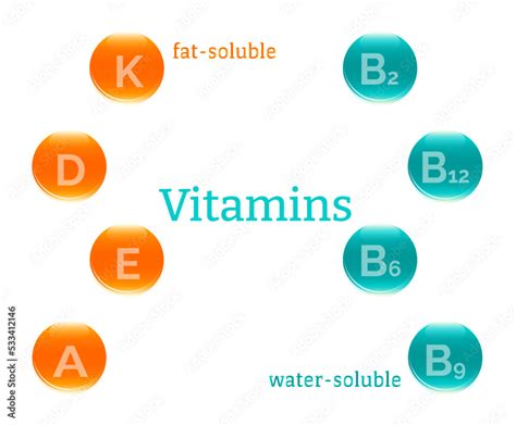 Vector Illustration Of Vitamins Fat Soluble And Water Soluble Vitamins From Food Healthy Food