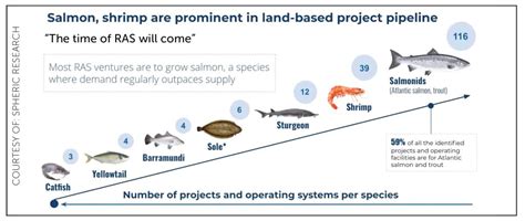 Kudos To New Methods, But Don’t Count Traditional Salmon Farming Out Yet - Aquaculture North America