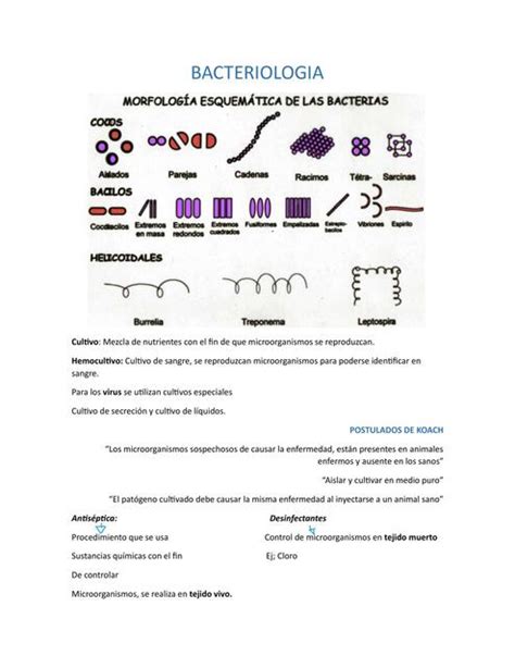 Bacteriología Juls Med uDocz