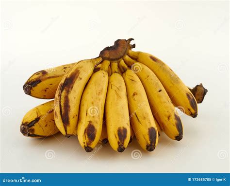 Lady Finger Bananas.Cavendish Bananas. Stock Image - Image of bunch ...