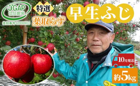 【楽天市場】【ふるさと納税】10月発送 贈答用 葉取らず 早生ふじ 約5kg【特選】【鶴翔りんごgap部会 青森県産 津軽産 リンゴ 林檎