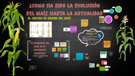 Como ha sido la evolución del maíz hasta la actualidad by Yureimi Leal