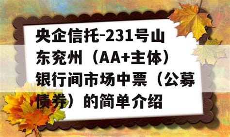 央企信托 231号山东兖州（aa主体）银行间市场中票（公募债券）的简单介绍 圣方堂股吧