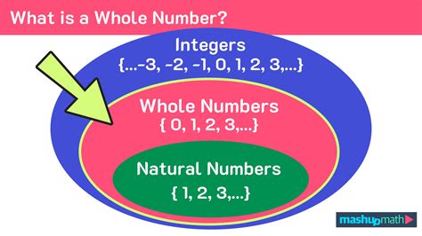 What is a Whole Number in Math? — Mashup Math