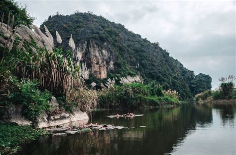 Van Long Wetland Nature Reserve Everything You Need To Know