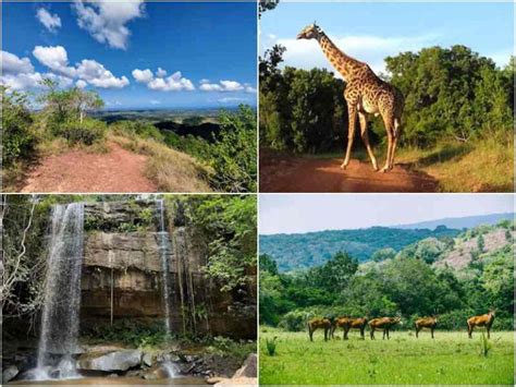 Shimba Hills National Reserve Entrance Fees