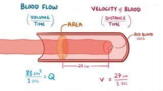 Hemodynamics Notes Diagrams Illustrations Osmosis