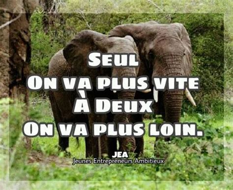 Seul on va plus vite à deux on va plus loin Proverbe et citation par