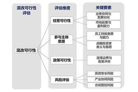 混合所有制改革怎样才能成功 中略咨询