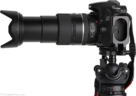 Tamron 16 300mm F 3 5 6 3 Di II VC PZD Macro Lens Review