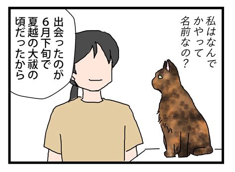 名前の由来 保護猫かやさん～凛々しいサビ猫様と私～