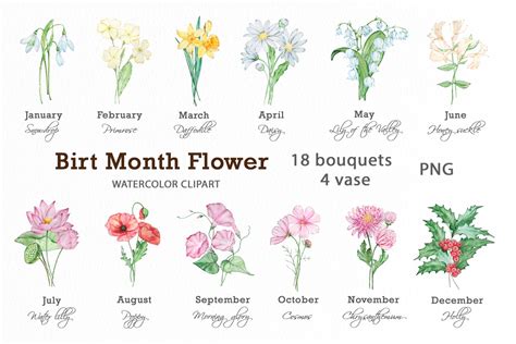 Birth Flowers By Month