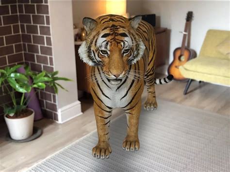 3D Animals Tiger View In 3D : Here you can rotate each model without ...