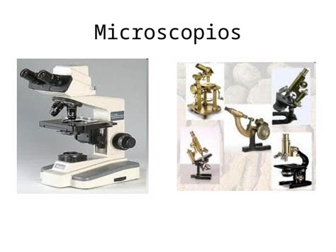 PPT Ciencias Naturales Microscopios DOKUMEN TIPS