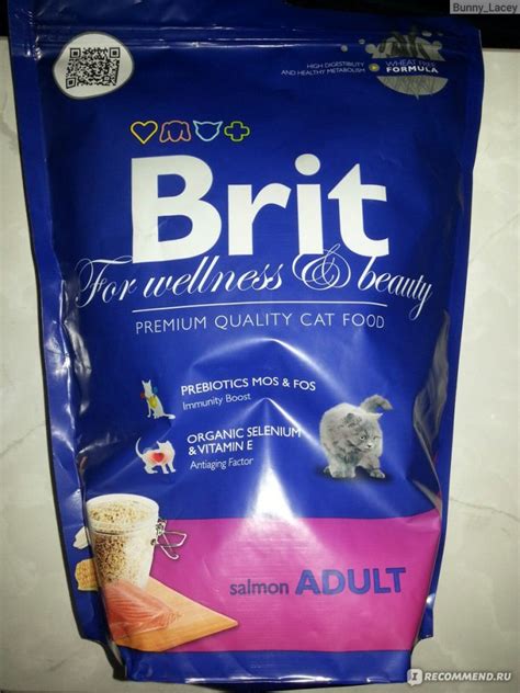 Сухой корм для кошек Brit salmon ADULT - «Мы оба его не поняли.» | отзывы