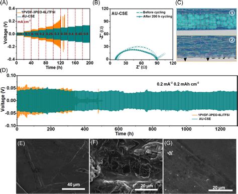 Electrochemical Performances Of Pvdf Peo Litfsi And Aucse In Li Li