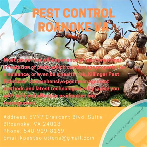 PPT Pest Control Roanoke VA Killinger Pest Solutions PowerPoint