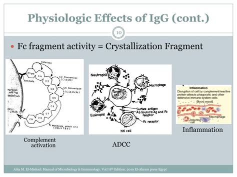 Intravenous Immunoglobulin Therapy Ivig Ppt