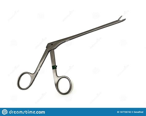 Forceps Pituitaria Foto De Archivo Imagen De Palabra 167726742