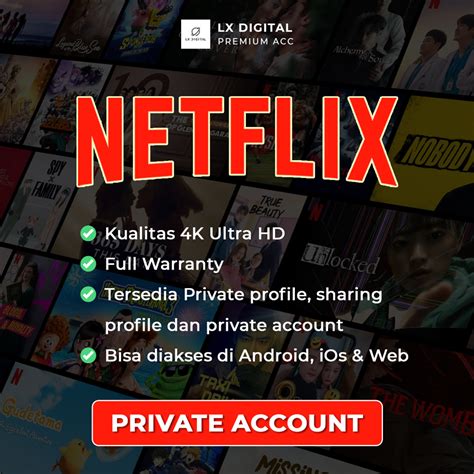 Jual Private 1 Bulan 4 Layar Netflix Netflix VCGamers