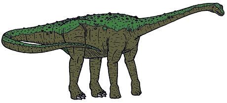 Argentinosaurus Dinosaur Facts - information about the dinosaur ...