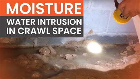 How To Absorb Moisture In Crawl Space At Garry Michelle Blog