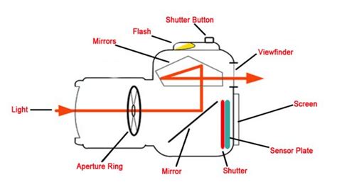 Diagram Parts Of A Camera Complete Guide Of 30 Parts Of A Ca