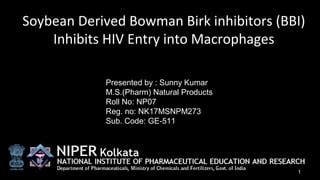 Hiv Presentation Ppt