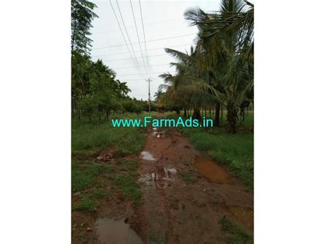 Well Maintained 10 Acres Areca Plantation Sale Near Hiriyur Hiriyur